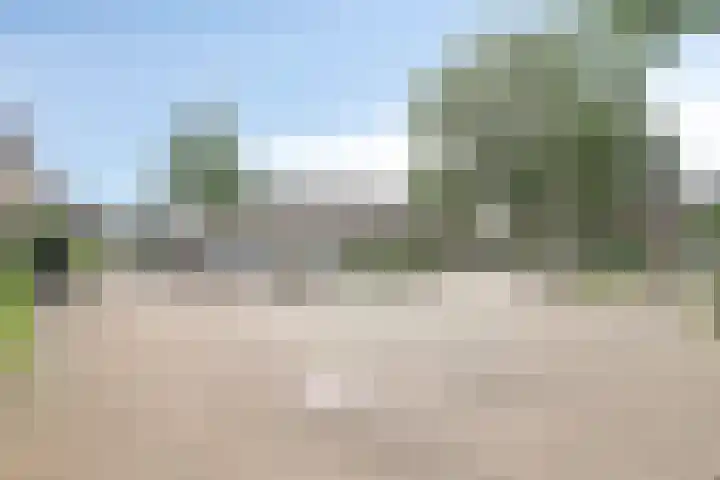 Klompenmaker 1 IJsselstein thumbnail 27