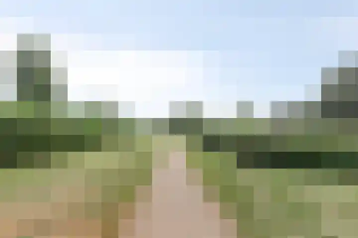 Klompenmaker 1 IJsselstein thumbnail 28