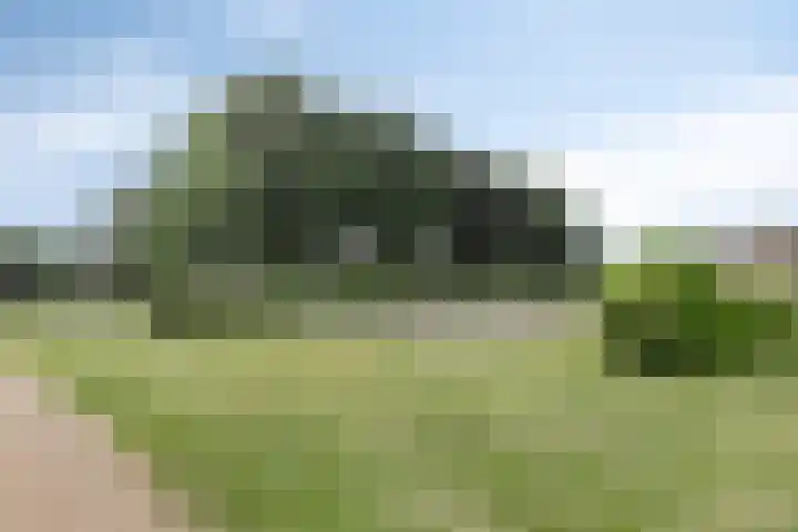 Klompenmaker 1 IJsselstein thumbnail 29