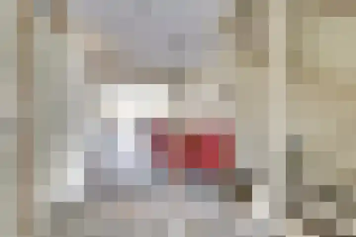 Klompenmaker 11 Beuningen Gld thumbnail 11