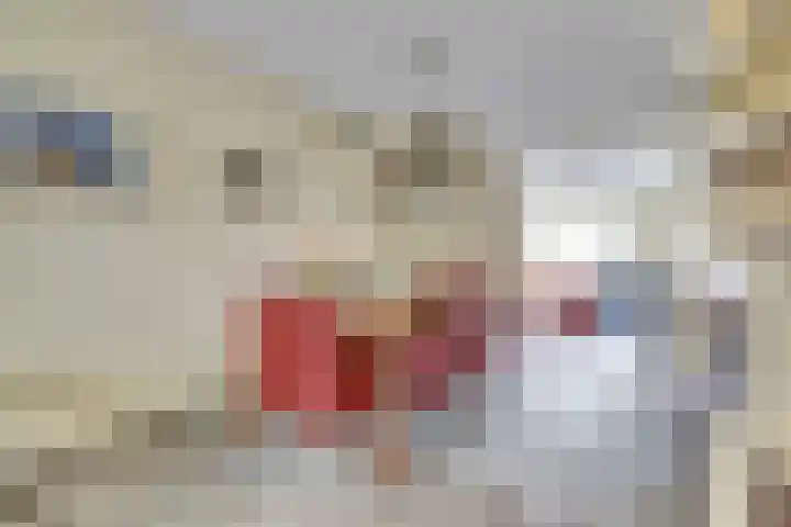 Klompenmaker 11 Beuningen Gld thumbnail 12