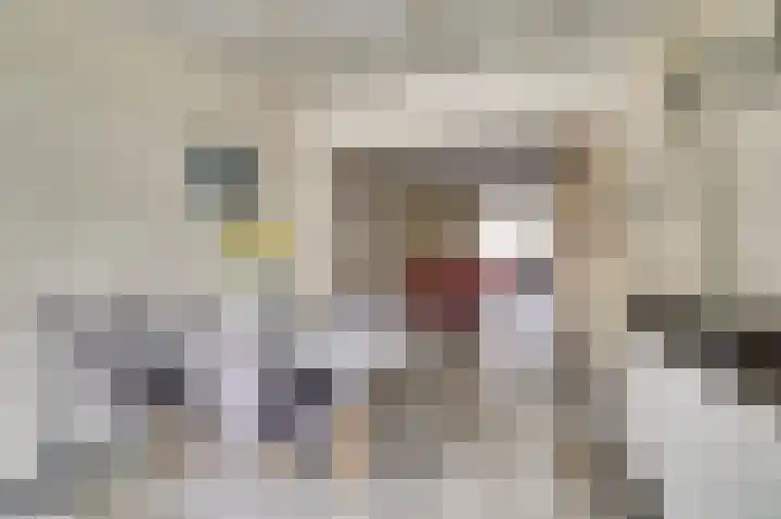 Klompenmaker 11 Beuningen Gld thumbnail 15