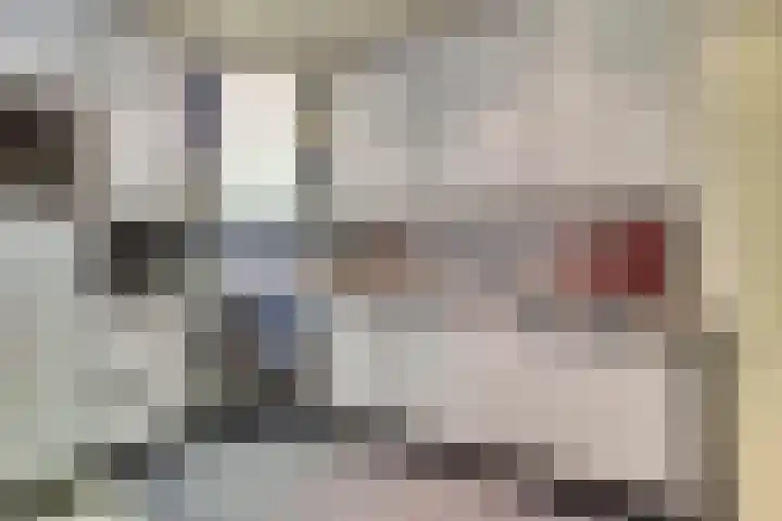 Klompenmaker 11 Beuningen Gld thumbnail 21