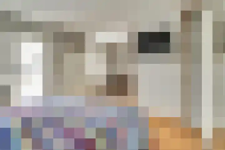 Klompenmaker 11 Beuningen Gld thumbnail 26
