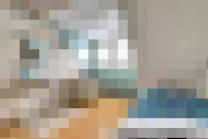 Klompenmaker 11 Beuningen Gld thumbnail 32