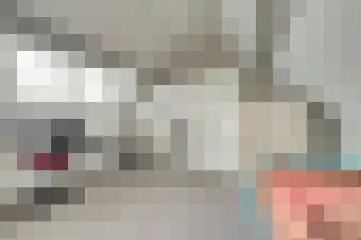 Klompenmaker 11 Beuningen Gld thumbnail 38