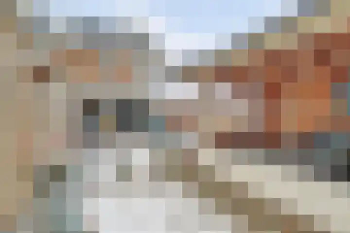 Klompenmaker 11 Beuningen Gld thumbnail 40