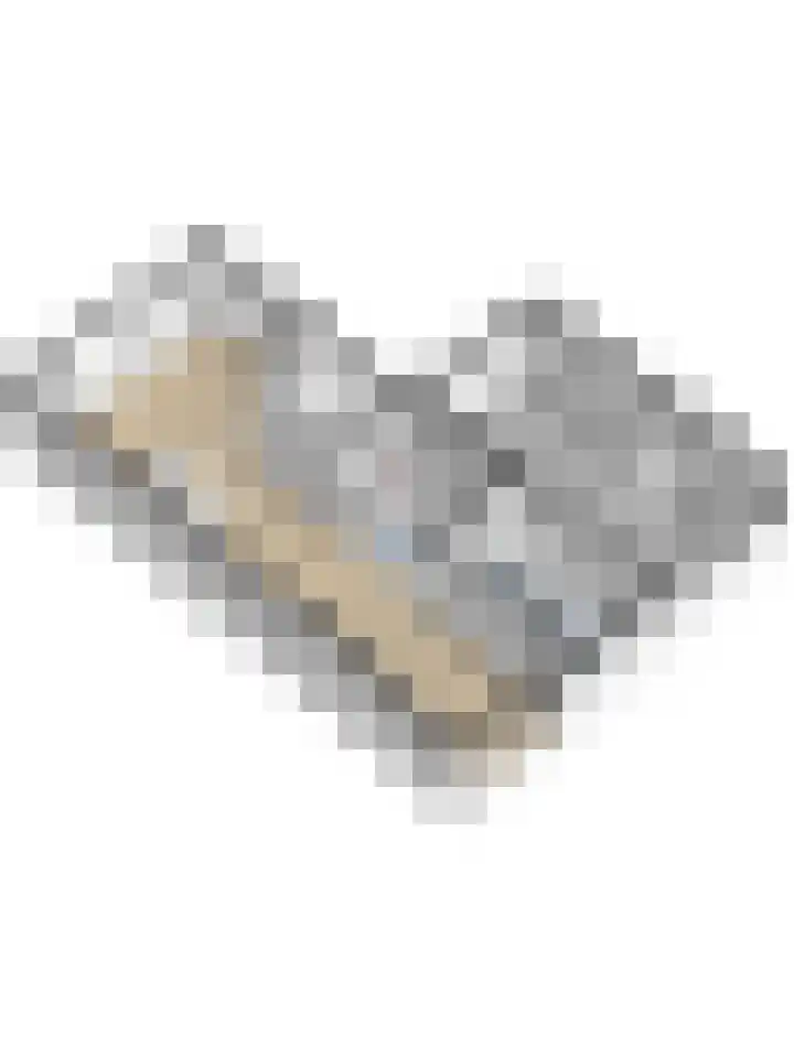 Klompenmaker 11 Beuningen Gld thumbnail 54