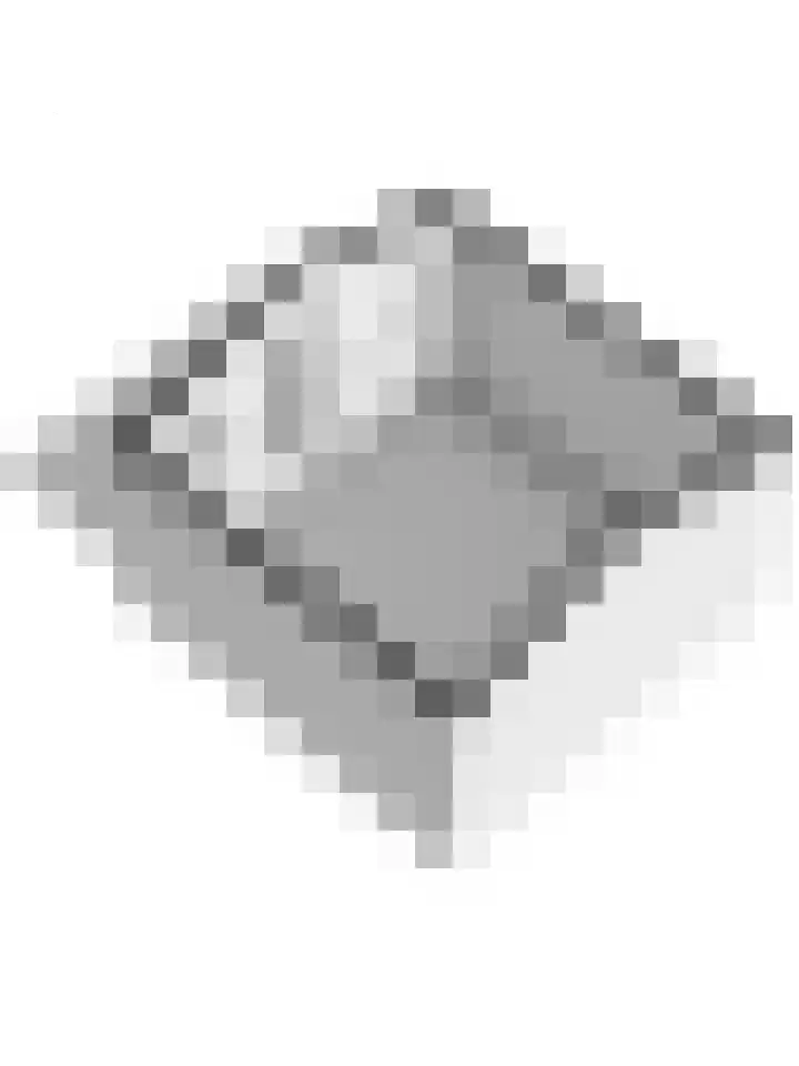 Klompenmaker 11 Beuningen Gld thumbnail 60
