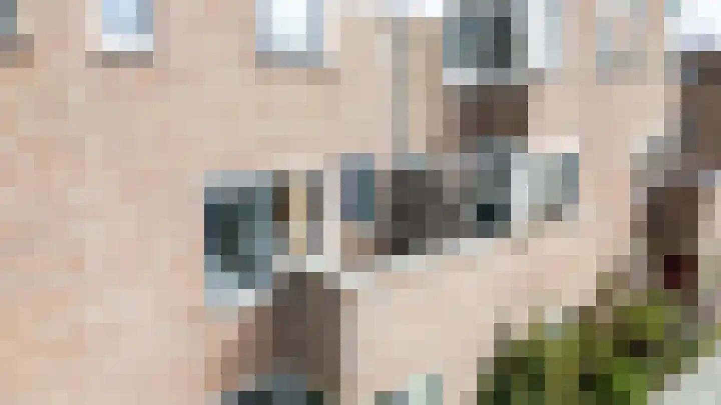 Klompenmaker 13 Spijkenisse thumbnail 21