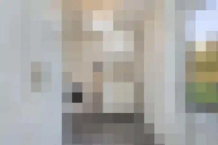 Klompenmaker 16 Beuningen Gld thumbnail 24