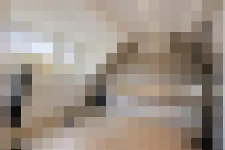 Klompenmaker 16 Beuningen Gld thumbnail 36