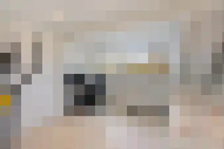 Klompenmaker 16 Beuningen Gld thumbnail 37