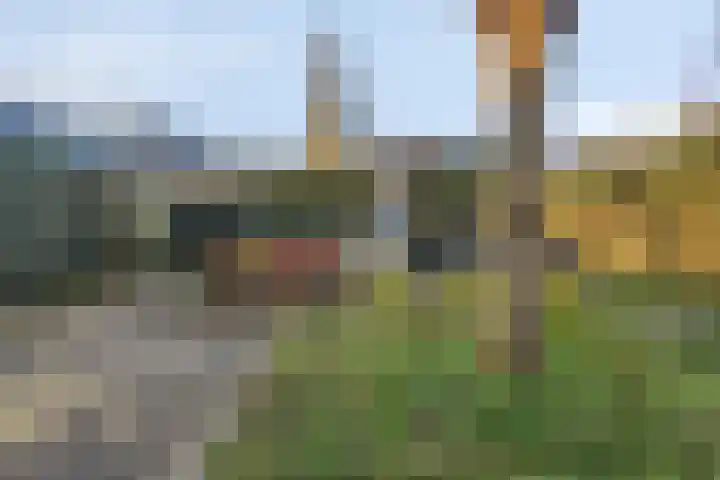 Klompenmaker 16 Beuningen Gld thumbnail 41