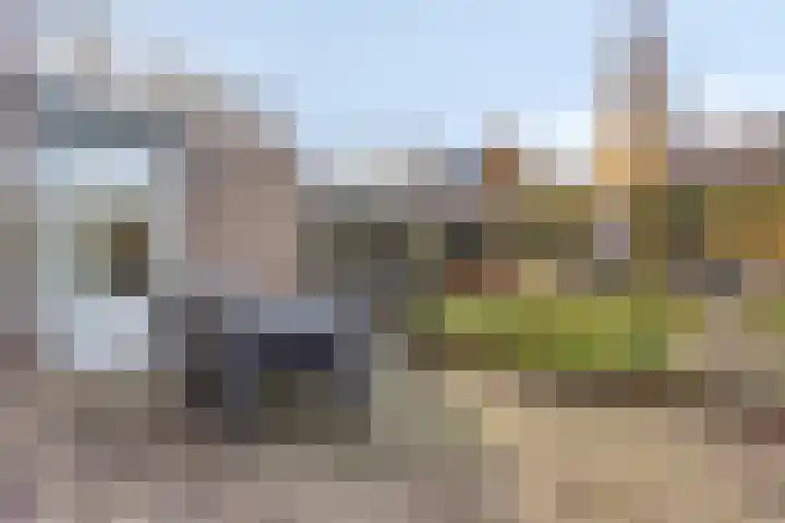Klompenmaker 16 Beuningen Gld thumbnail 42