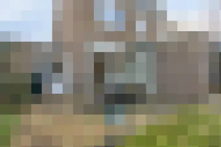 Klompenmaker 16 Beuningen Gld thumbnail 43