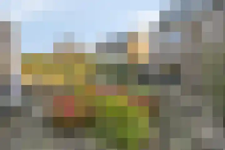 Klompenmaker 16 Beuningen Gld thumbnail 44