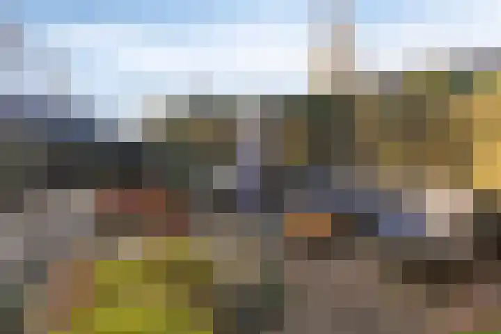 Klompenmaker 16 Beuningen Gld thumbnail 45