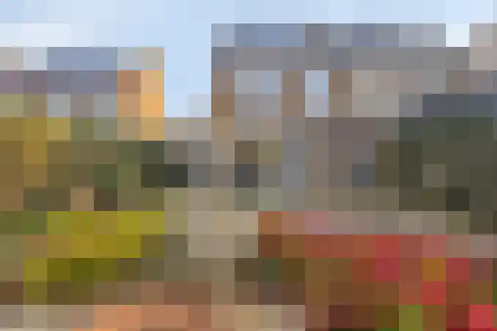 Klompenmaker 16 Beuningen Gld thumbnail 46