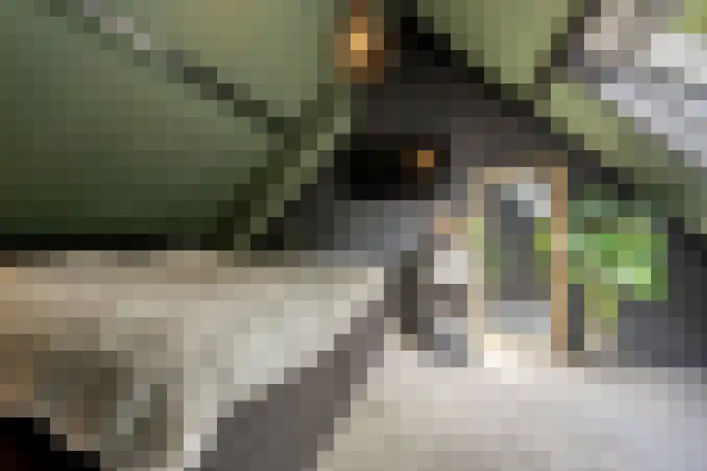 Klompenmaker 17 Oud-Beijerland thumbnail 31