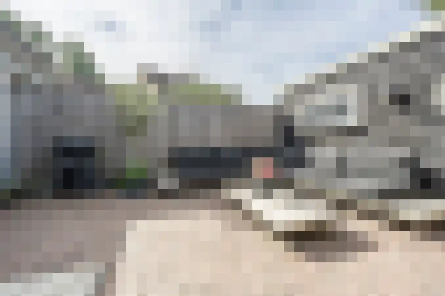 Klompenmaker 17 Oud-Beijerland thumbnail 37