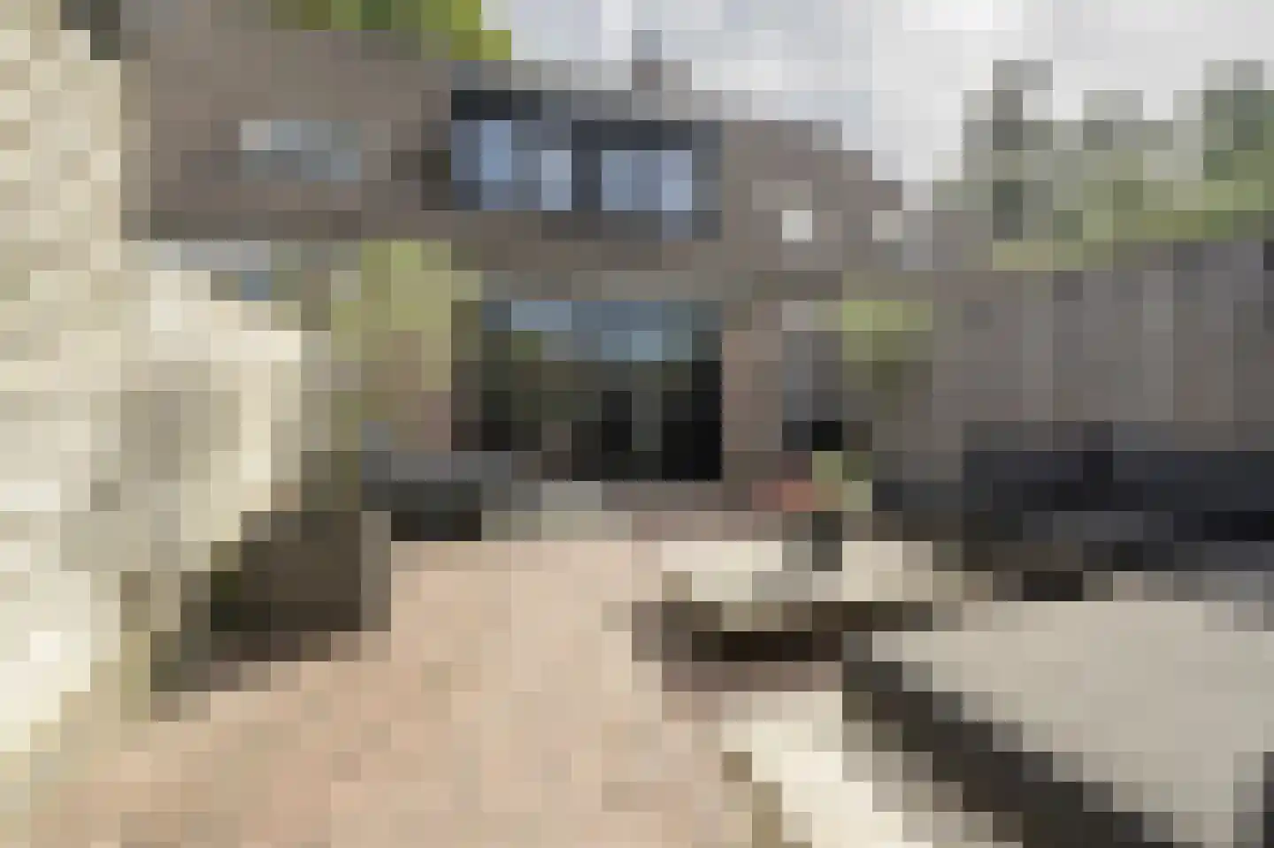 Klompenmaker 17 Oud-Beijerland thumbnail 38