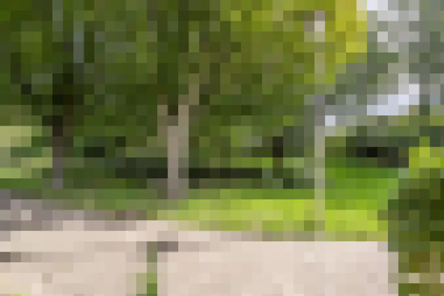 Klompenmaker 17 Oud-Beijerland thumbnail 6