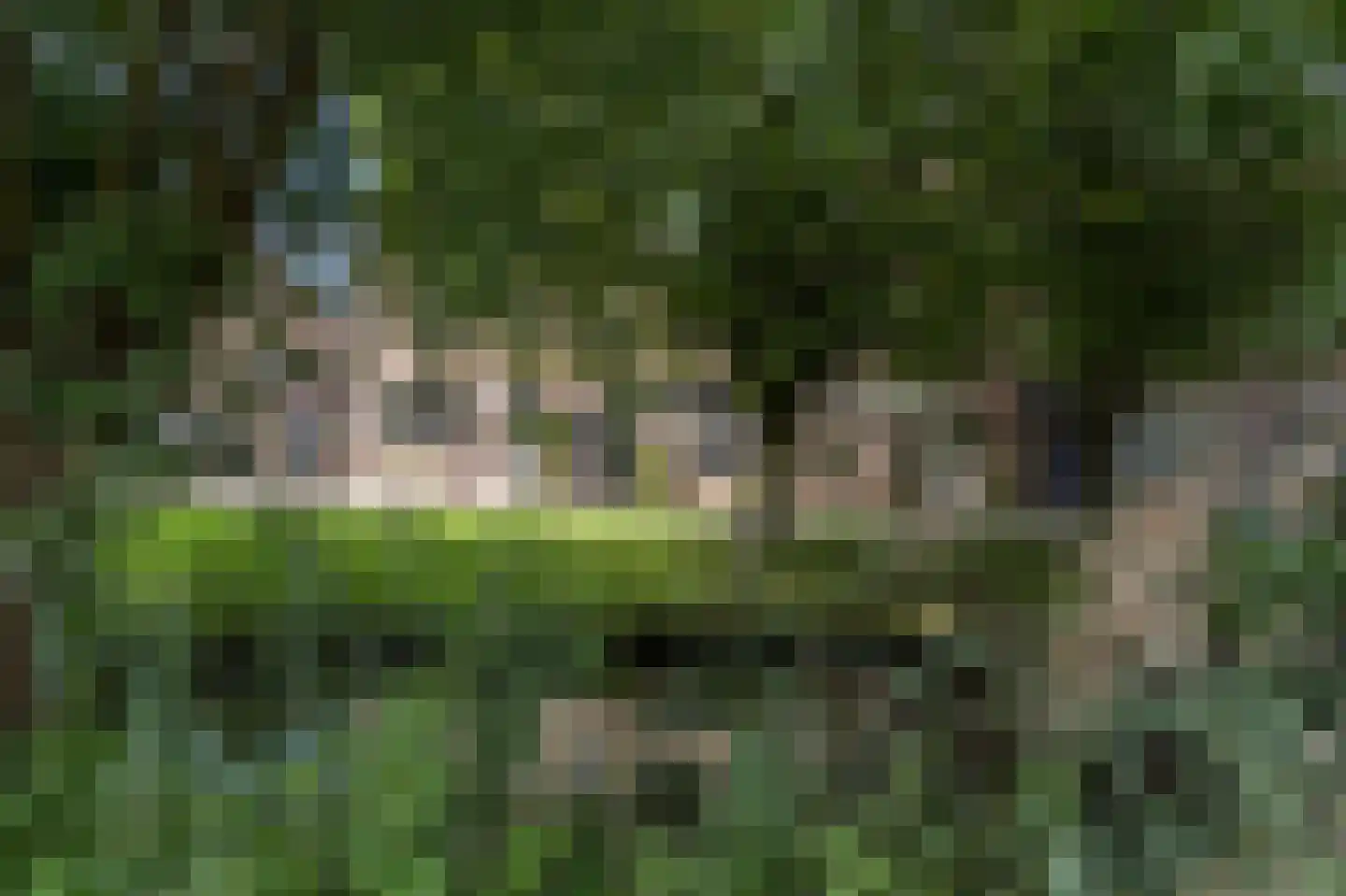 Klompenmaker 17 Oud-Beijerland thumbnail 7