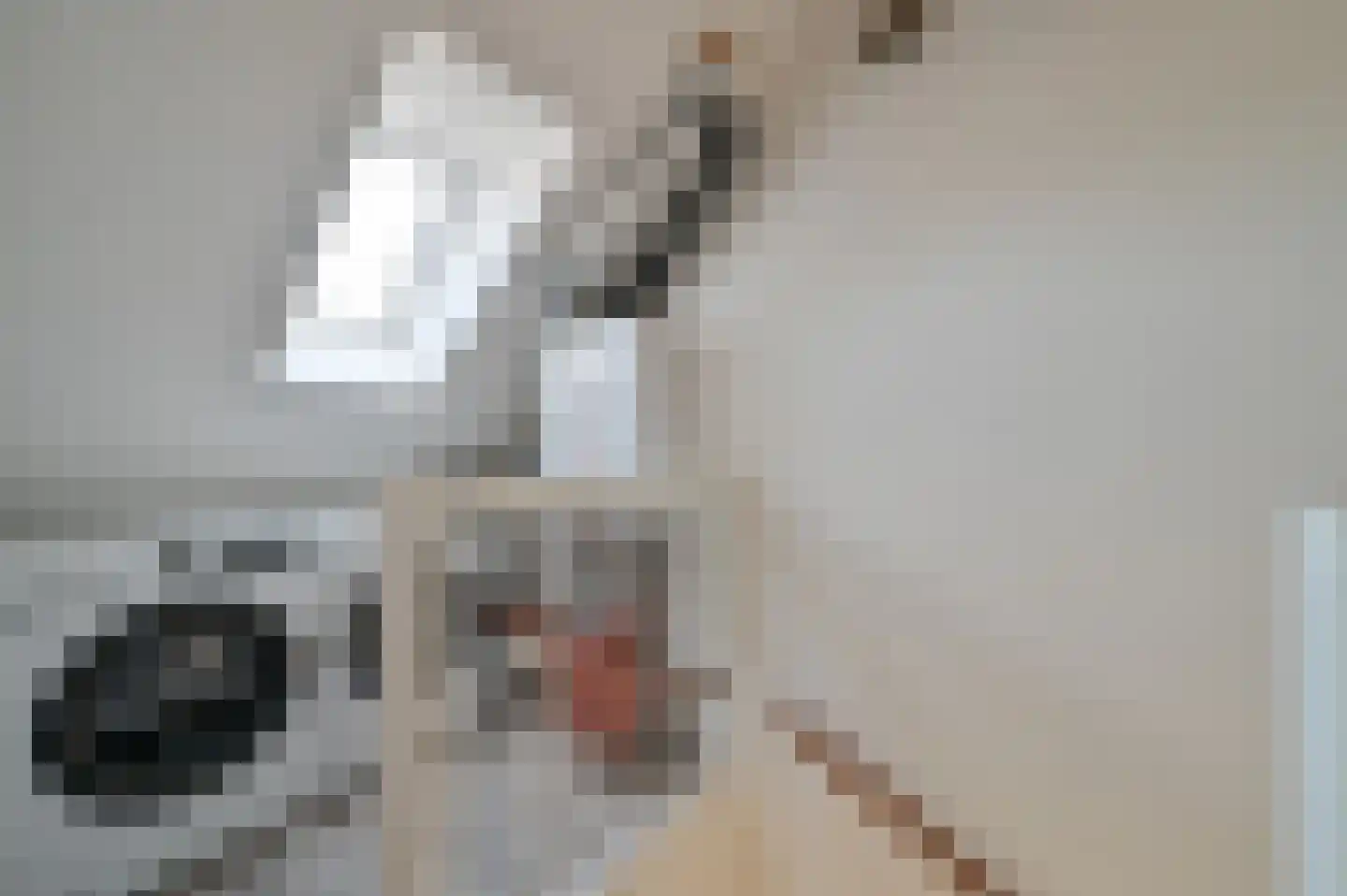 Klompenmaker 18 Wilnis thumbnail 20