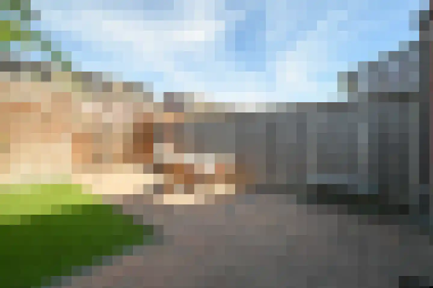 Klompenmaker 18 Wilnis thumbnail 24