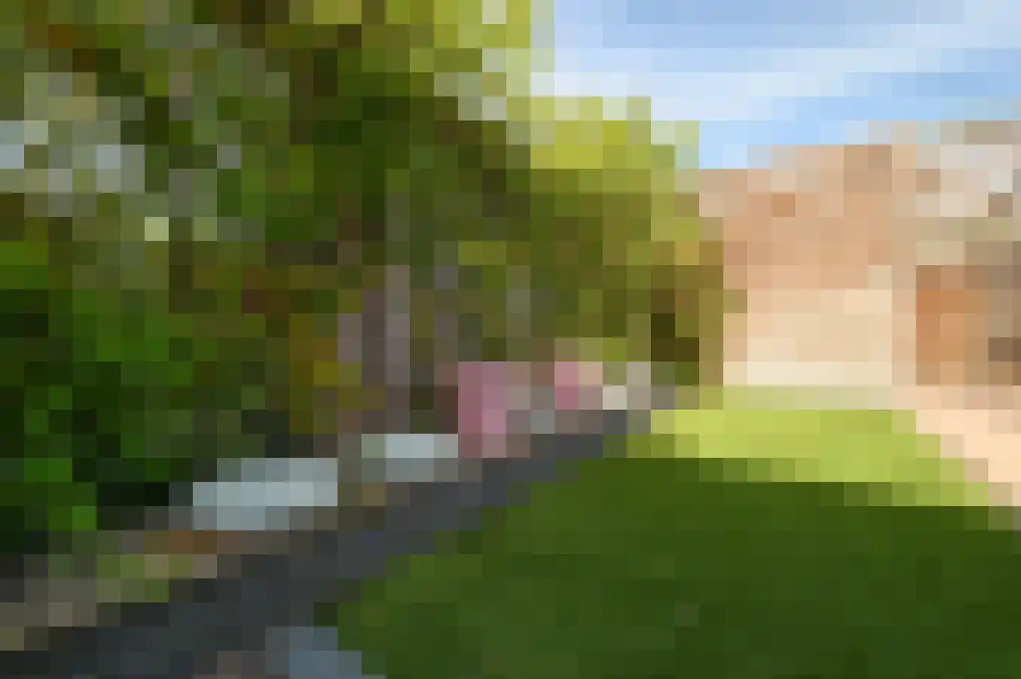 Klompenmaker 18 Wilnis thumbnail 26