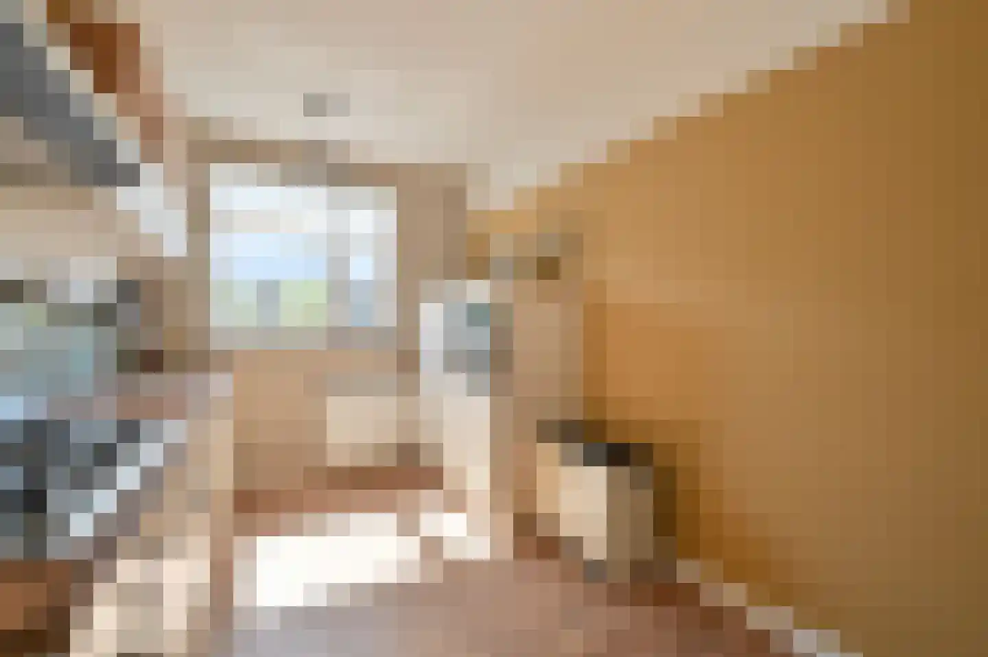 Klompenmaker 18 Wilnis thumbnail 9