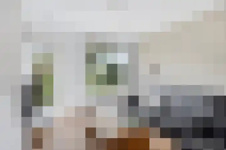 Klompenmaker 19 Oud-Beijerland thumbnail 6