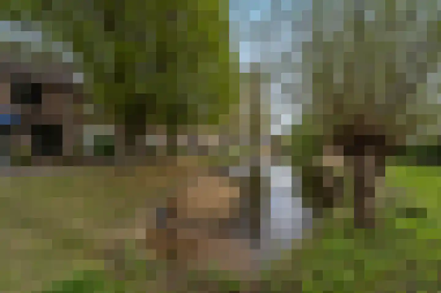 Klompenmaker 25 Oud-Beijerland thumbnail 30