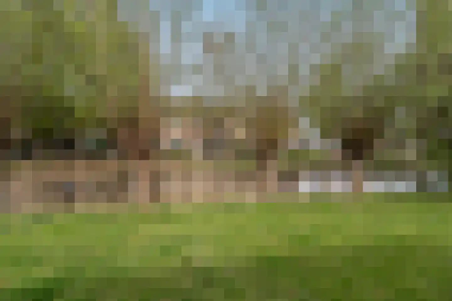 Klompenmaker 25 Oud-Beijerland thumbnail 31