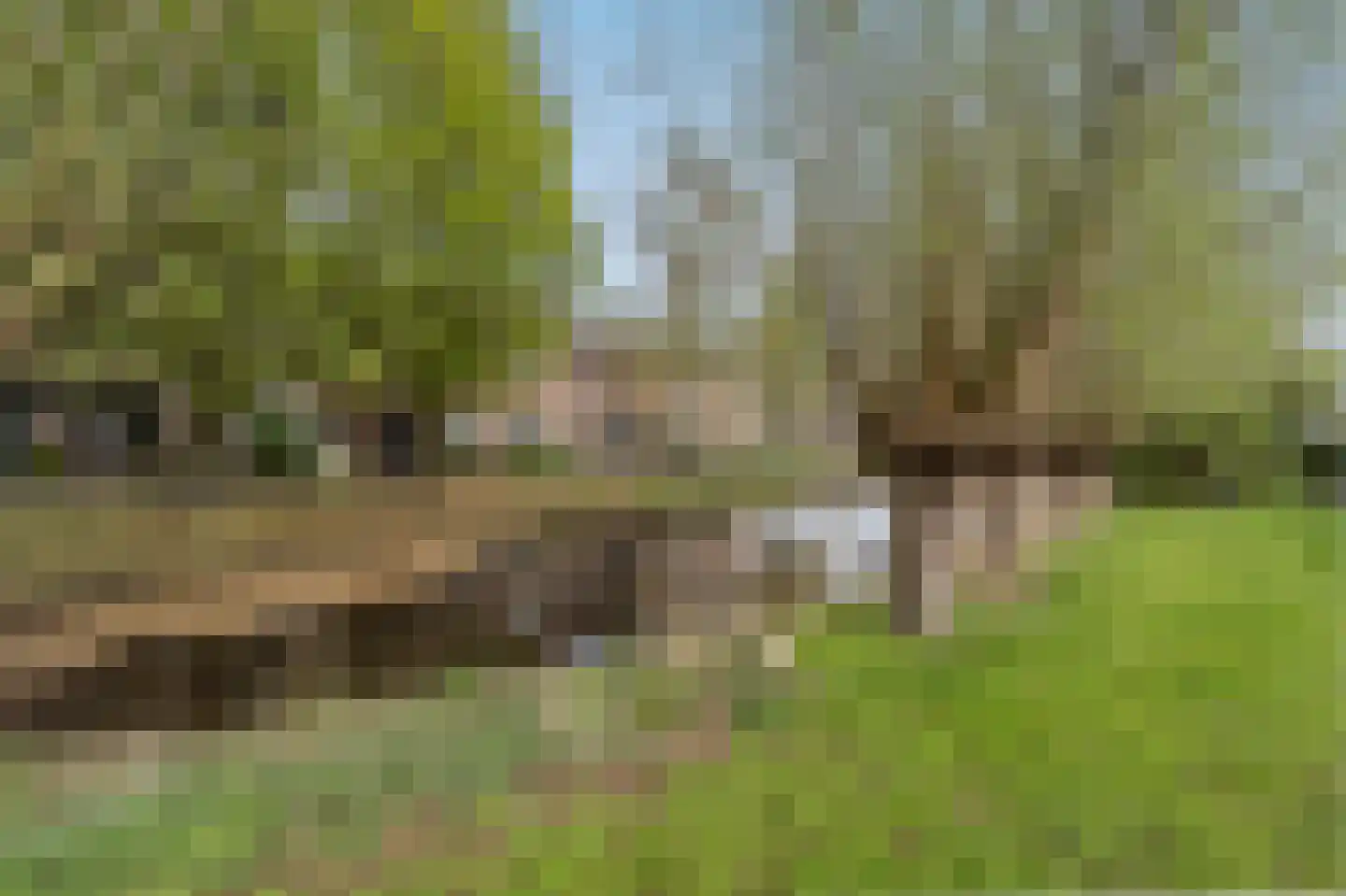 Klompenmaker 25 Oud-Beijerland thumbnail 4
