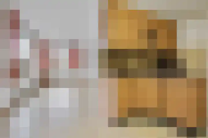 Klompenmaker 26 Leiderdorp thumbnail 8