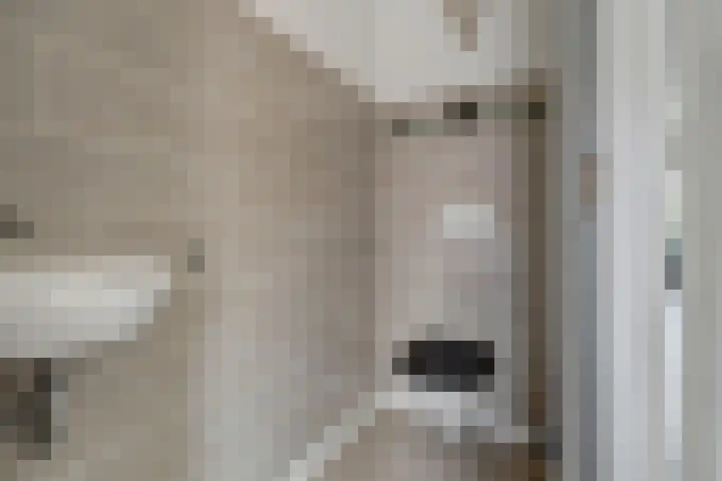 Klompenmaker 3 Spijkenisse thumbnail 15