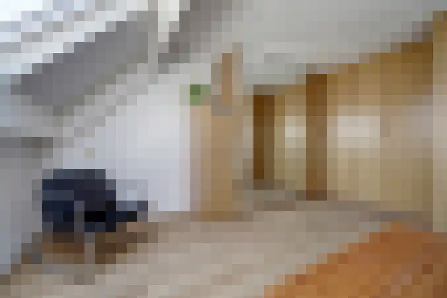 Klompenmaker 3 Spijkenisse thumbnail 40