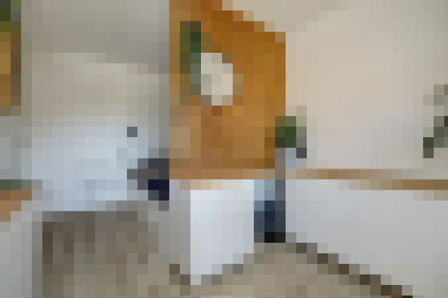 Klompenmaker 3 Spijkenisse thumbnail 42