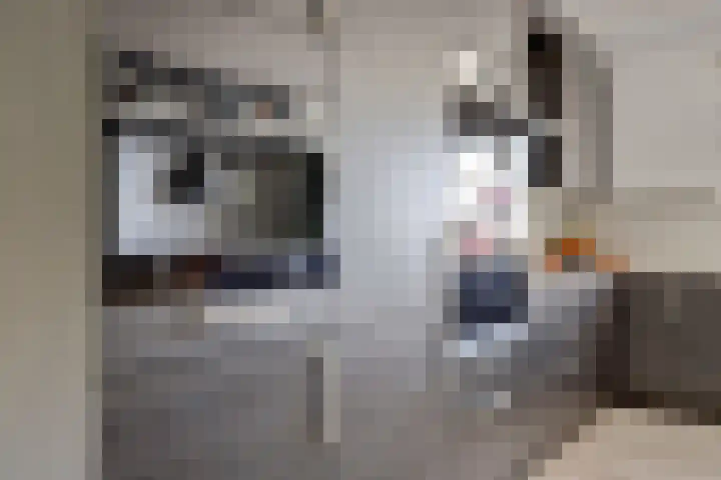 Klompenmaker 3 Spijkenisse thumbnail 9