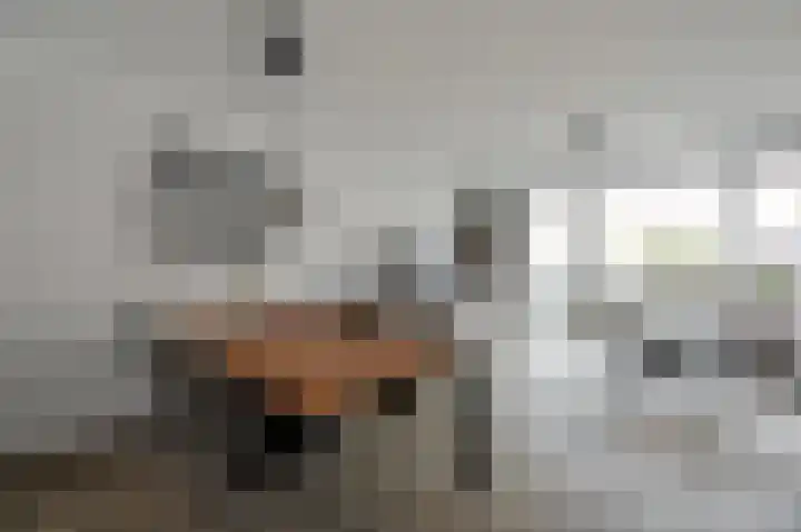 Klompenmaker 31 Wilnis thumbnail 10