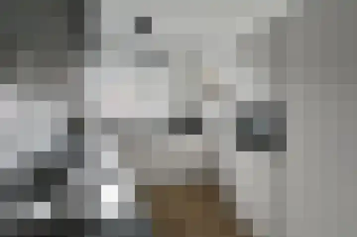Klompenmaker 31 Wilnis thumbnail 11