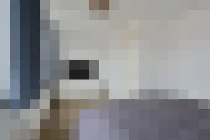 Klompenmaker 31 Wilnis thumbnail 14