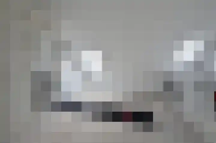 Klompenmaker 31 Wilnis thumbnail 20