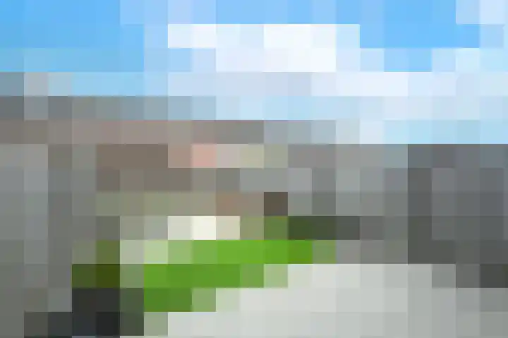 Klompenmaker 31 Wilnis thumbnail 21
