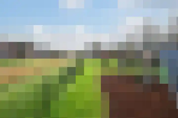 Klompenmaker 31 Wilnis thumbnail 25