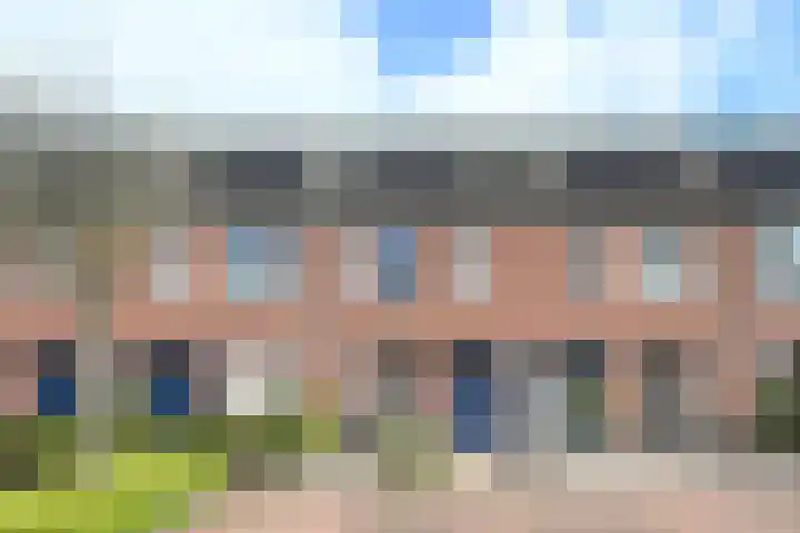 Klompenmaker 31 Wilnis thumbnail 5