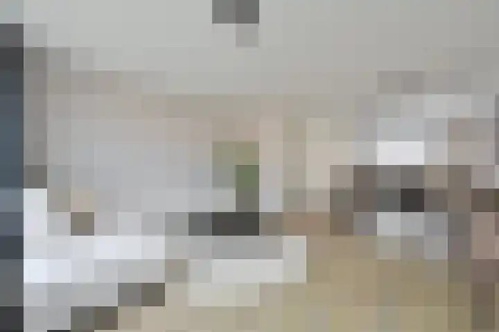 Klompenmaker 31 Wilnis thumbnail 8