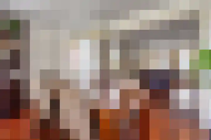 Klompenmaker 32 Oost West en Middelbeers thumbnail 16
